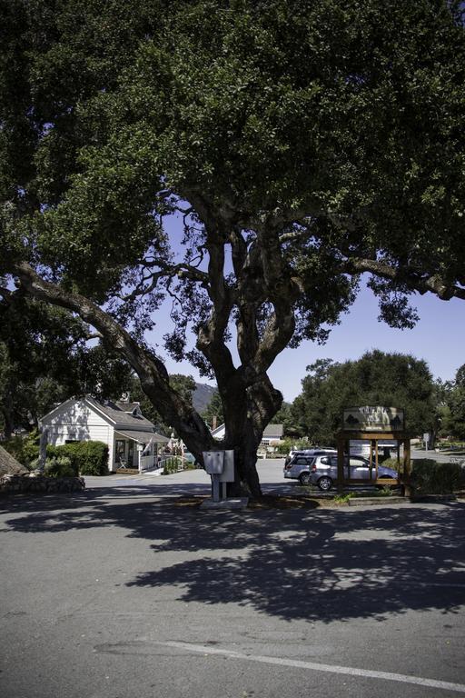 כרמל ואלי The Blue Sky Lodge מראה חיצוני תמונה