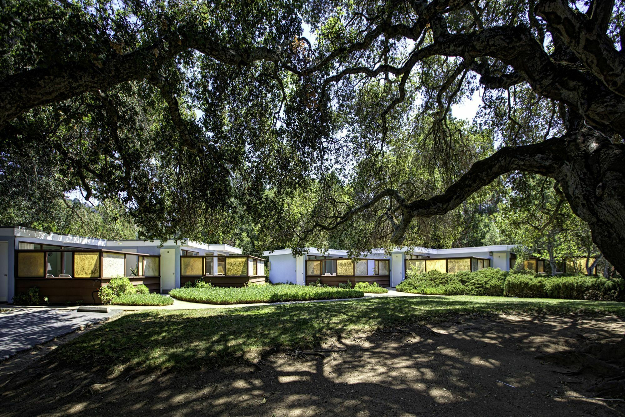 כרמל ואלי The Blue Sky Lodge מראה חיצוני תמונה
